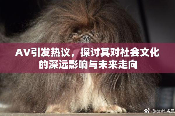 AV引发热议，探讨其对社会文化的深远影响与未来走向