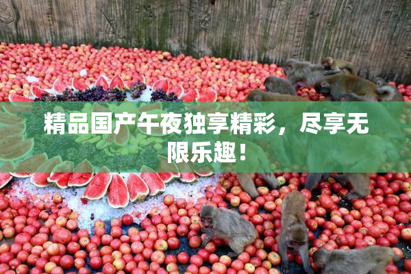 精品国产午夜独享精彩，尽享无限乐趣！
