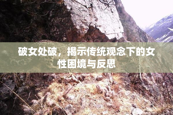 破女处破，揭示传统观念下的女性困境与反思
