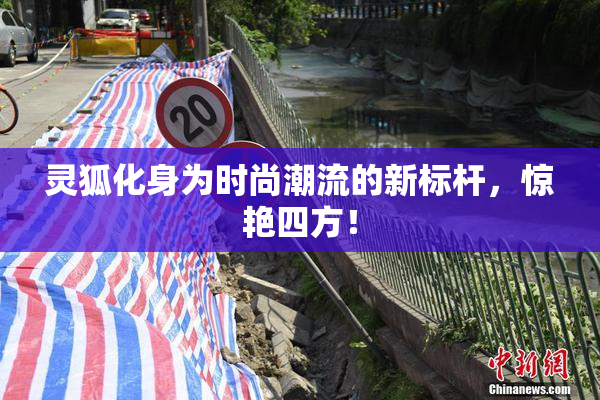 灵狐化身为时尚潮流的新标杆，惊艳四方！