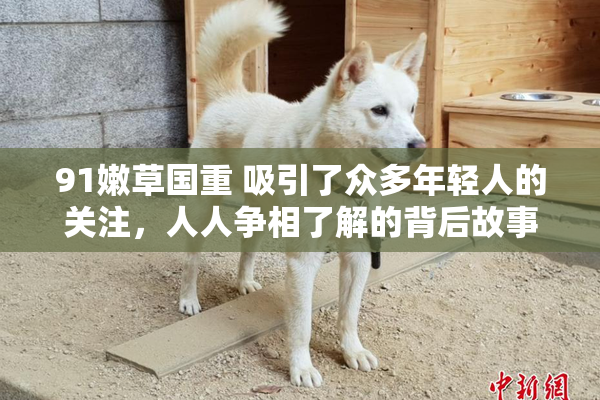 91嫩草国重 吸引了众多年轻人的关注，人人争相了解的背后故事。