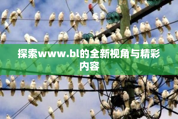 探索www.bl的全新视角与精彩内容