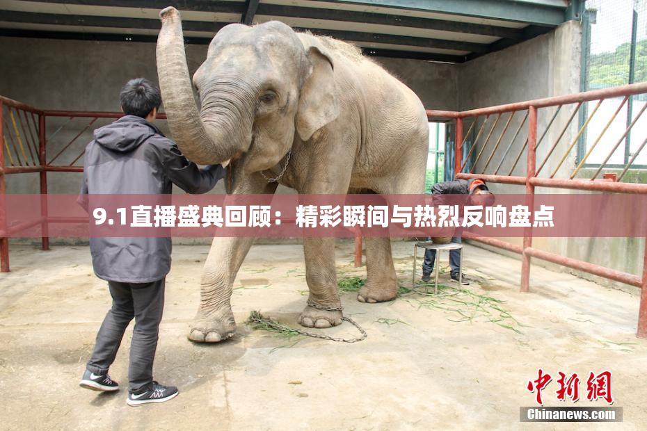 9.1直播盛典回顾：精彩瞬间与热烈反响盘点