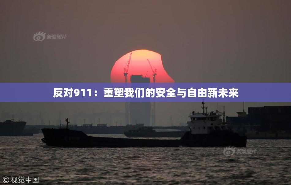 反对911：重塑我们的安全与自由新未来