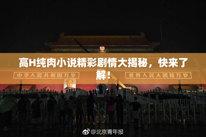 高H纯肉小说精彩剧情大揭秘，快来了解！