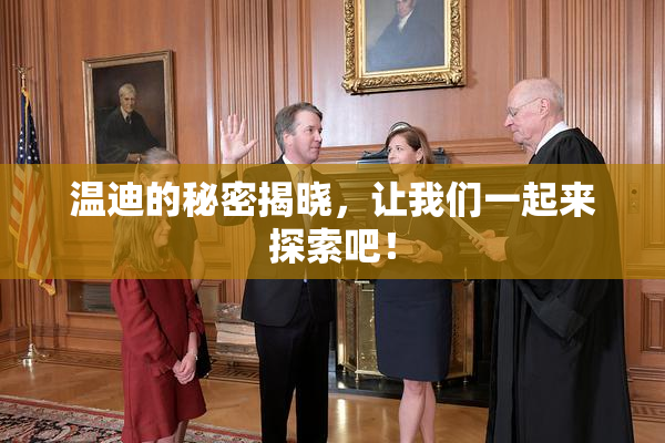 温迪的秘密揭晓，让我们一起来探索吧！