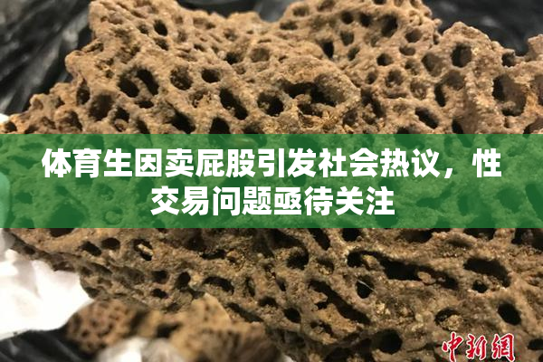 体育生因卖屁股引发社会热议，性交易问题亟待关注