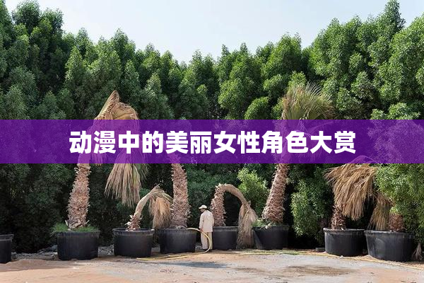 动漫中的美丽女性角色大赏