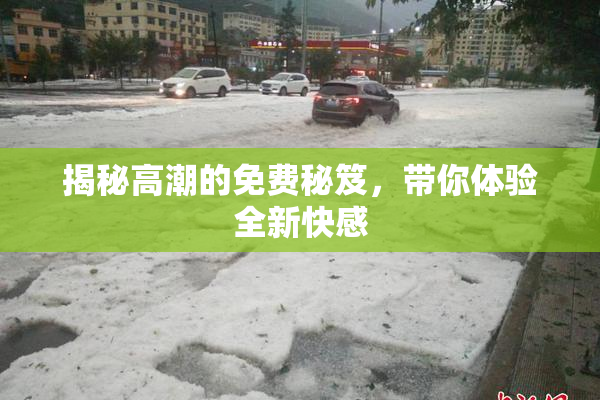 揭秘高潮的免费秘笈，带你体验全新快感