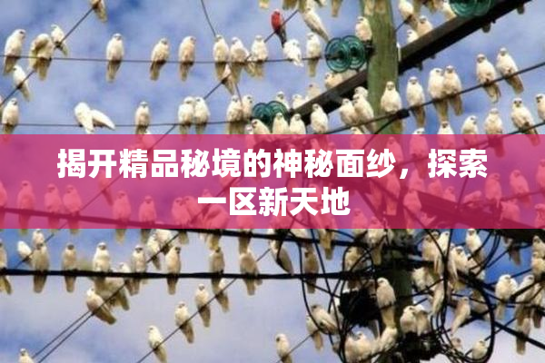 揭开精品秘境的神秘面纱，探索一区新天地