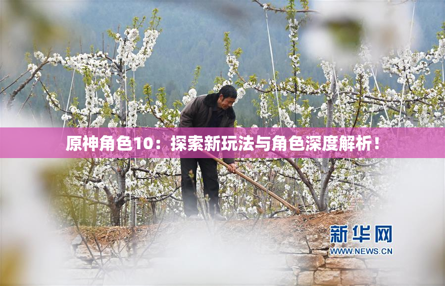 原神角色10：探索新玩法与角色深度解析！