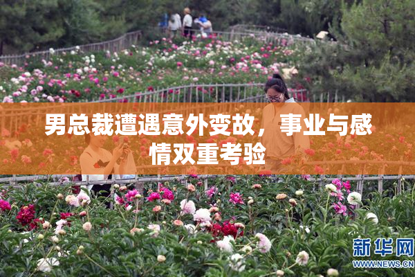 男总裁遭遇意外变故，事业与感情双重考验