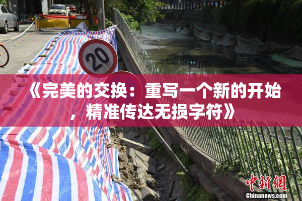 《完美的交换：重写一个新的开始，精准传达无损字符》