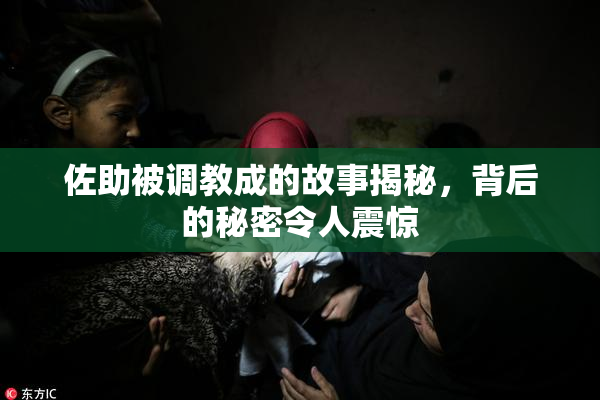 佐助被调教成的故事揭秘，背后的秘密令人震惊