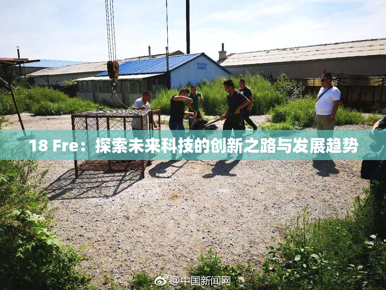 18 Fre：探索未来科技的创新之路与发展趋势