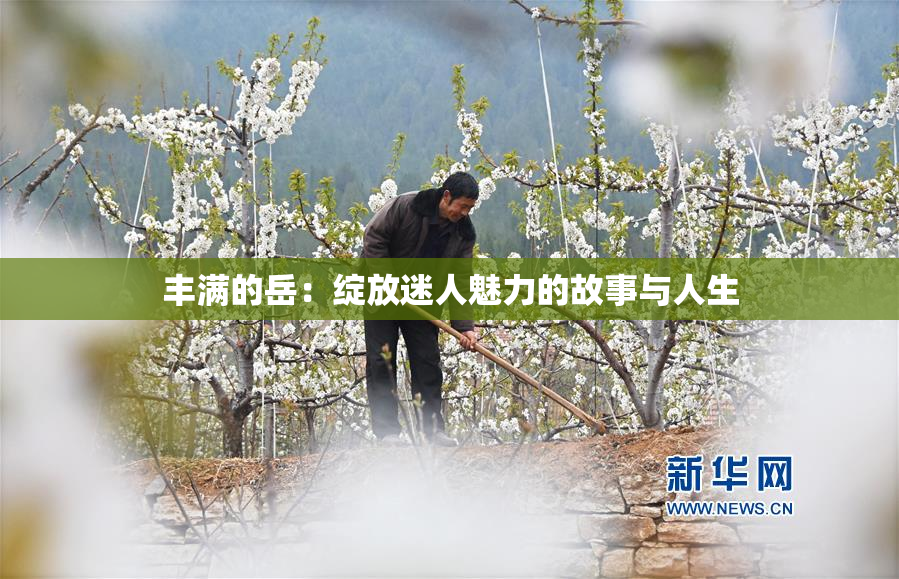 丰满的岳：绽放迷人魅力的故事与人生