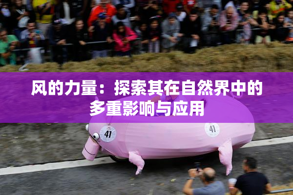 风的力量：探索其在自然界中的多重影响与应用