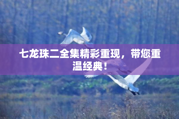 七龙珠二全集精彩重现，带您重温经典！