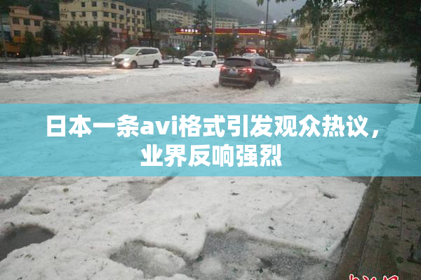 日本一条avi格式引发观众热议，业界反响强烈