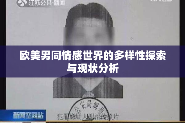 欧美男同情感世界的多样性探索与现状分析