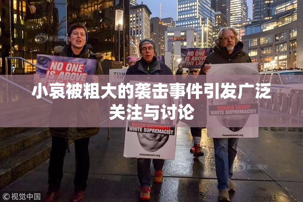 小哀被粗大的袭击事件引发广泛关注与讨论