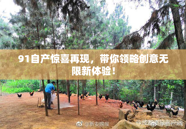 91自产惊喜再现，带你领略创意无限新体验！