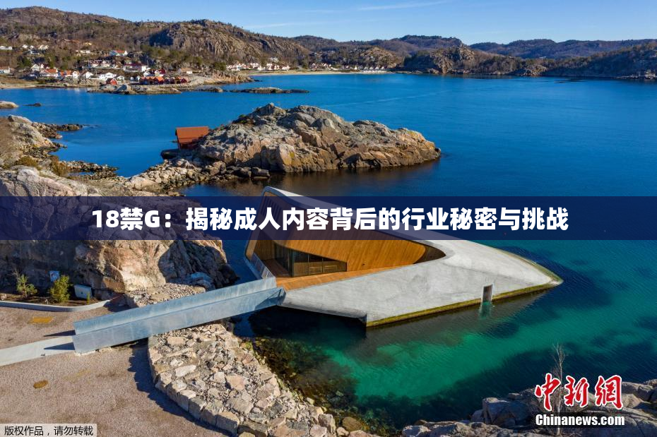 18禁G：揭秘成人内容背后的行业秘密与挑战