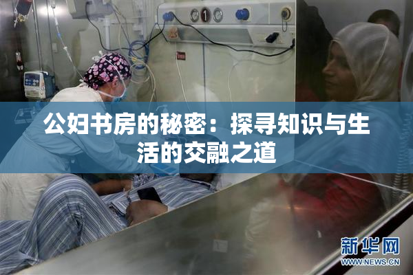 公妇书房的秘密：探寻知识与生活的交融之道
