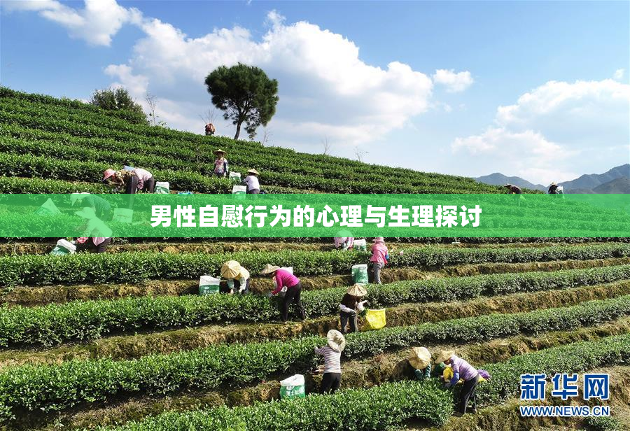 男性自慰行为的心理与生理探讨