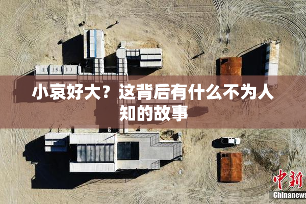 小哀好大？这背后有什么不为人知的故事