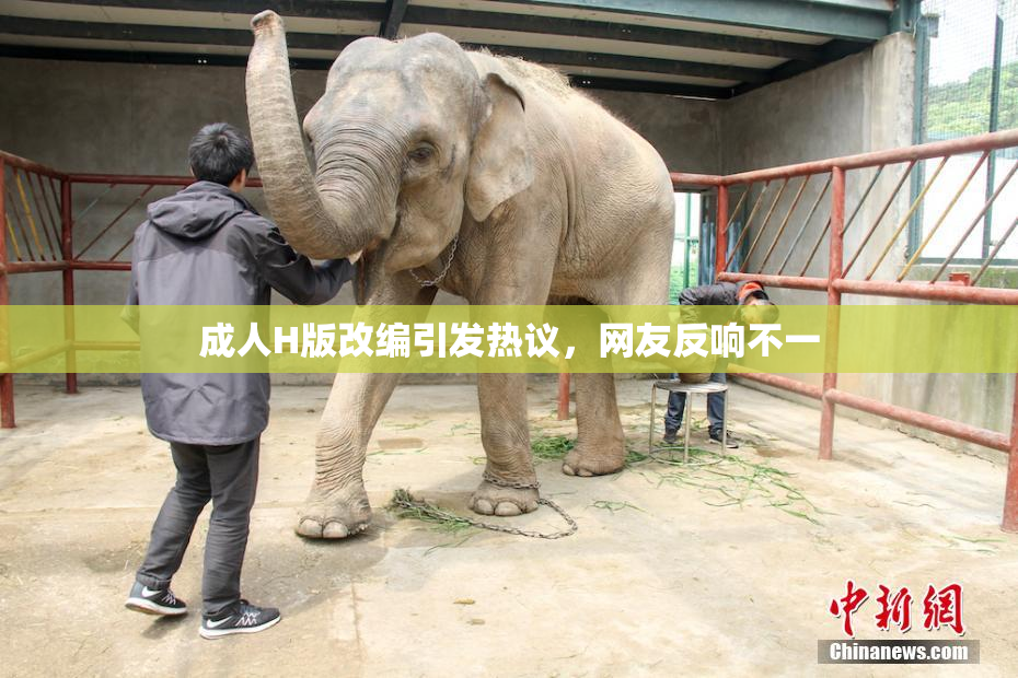 成人H版改编引发热议，网友反响不一