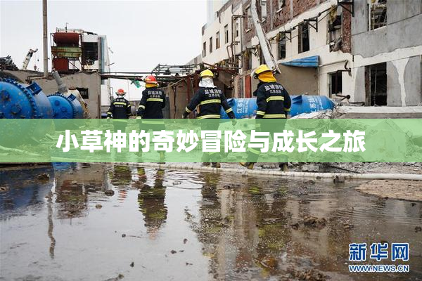 小草神的奇妙冒险与成长之旅