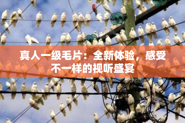 真人一级毛片：全新体验，感受不一样的视听盛宴