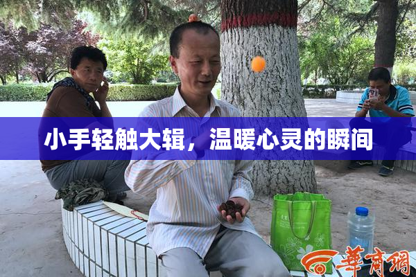 小手轻触大辑，温暖心灵的瞬间