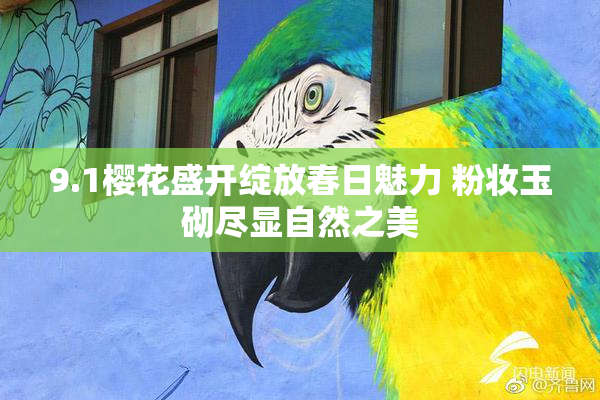 9.1樱花盛开绽放春日魅力 粉妆玉砌尽显自然之美