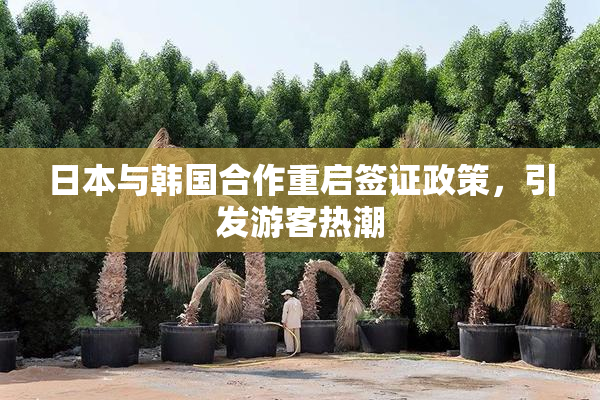 日本与韩国合作重启签证政策，引发游客热潮
