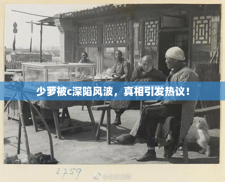 少萝被c深陷风波，真相引发热议！
