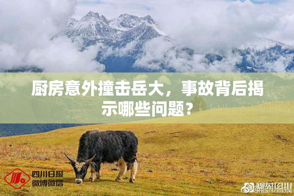 厨房意外撞击岳大，事故背后揭示哪些问题？