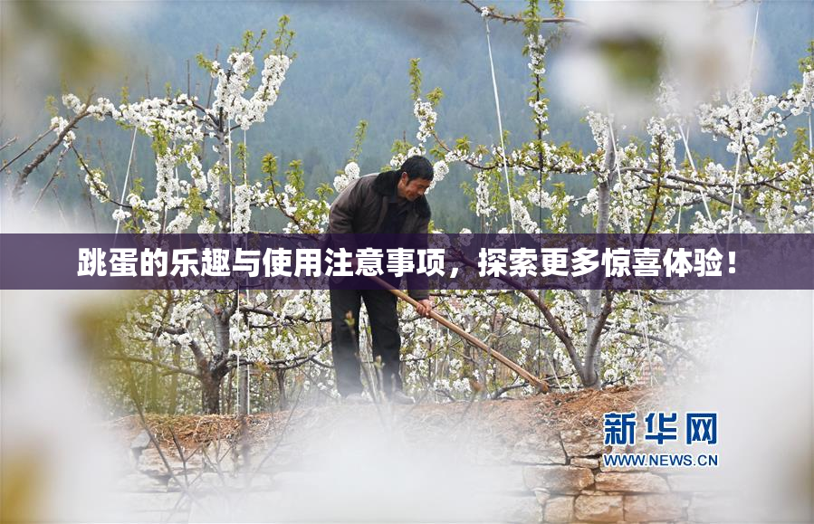 跳蛋的乐趣与使用注意事项，探索更多惊喜体验！