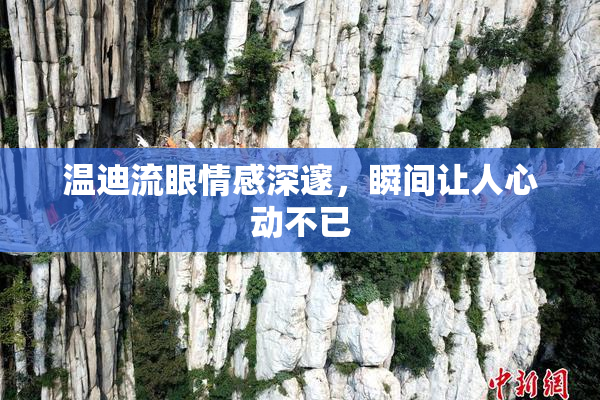 温迪流眼情感深邃，瞬间让人心动不已