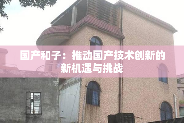 国产和子：推动国产技术创新的新机遇与挑战