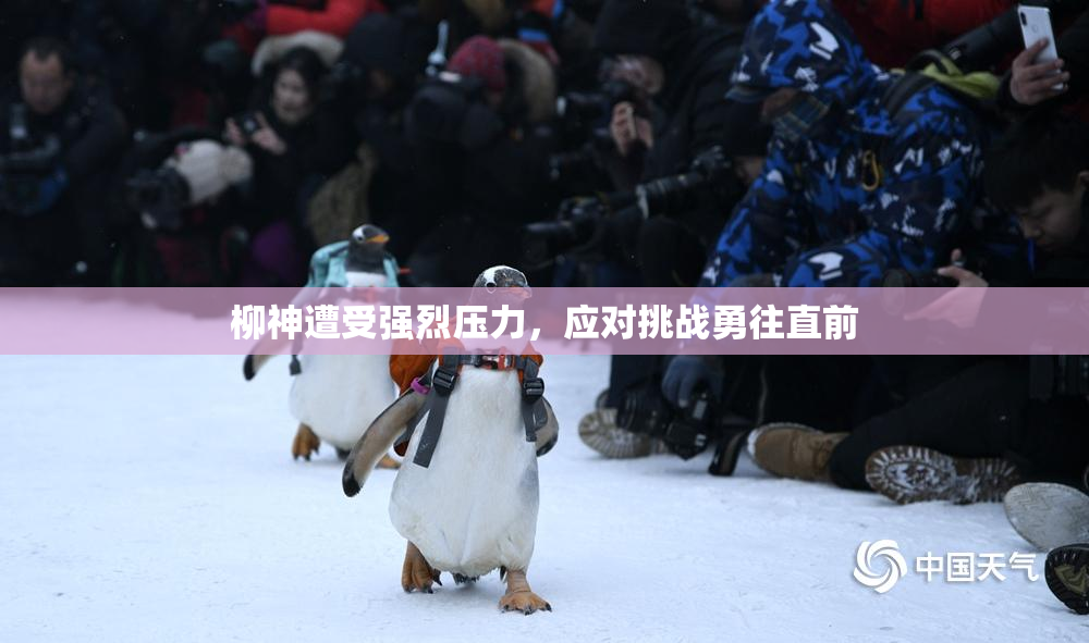 柳神遭受强烈压力，应对挑战勇往直前