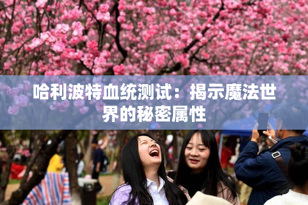 哈利波特血统测试：揭示魔法世界的秘密属性