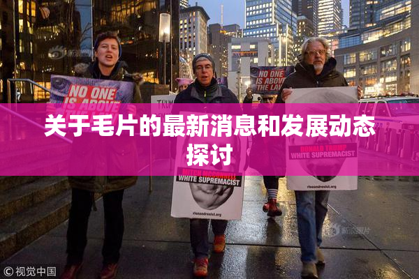 关于毛片的最新消息和发展动态探讨