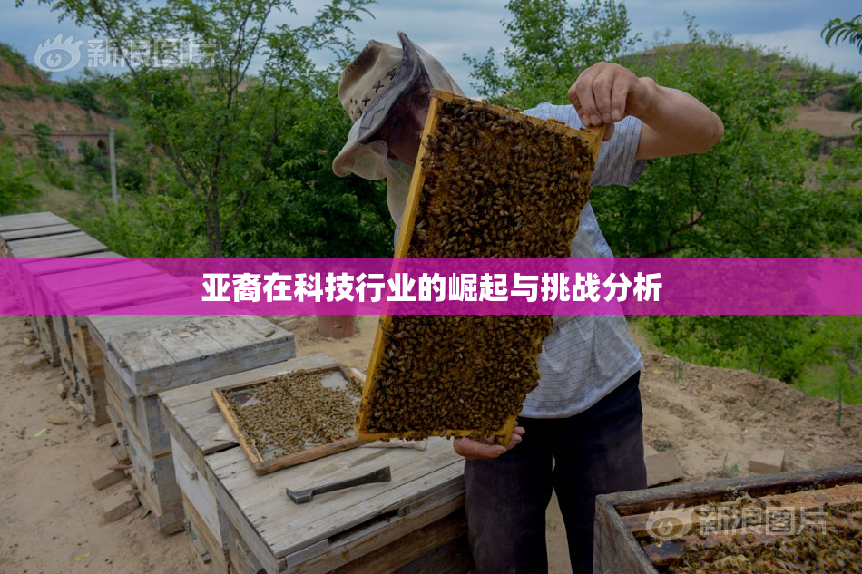 亚裔在科技行业的崛起与挑战分析