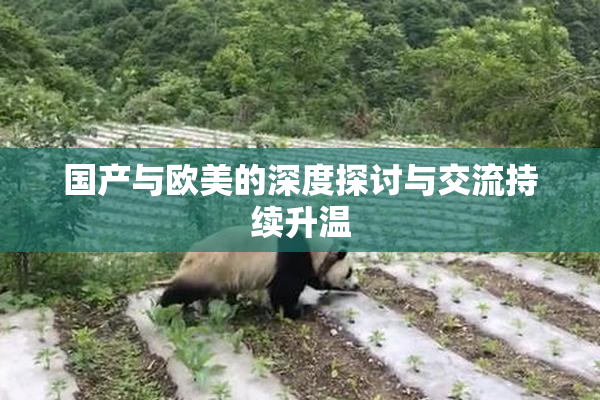 国产与欧美的深度探讨与交流持续升温