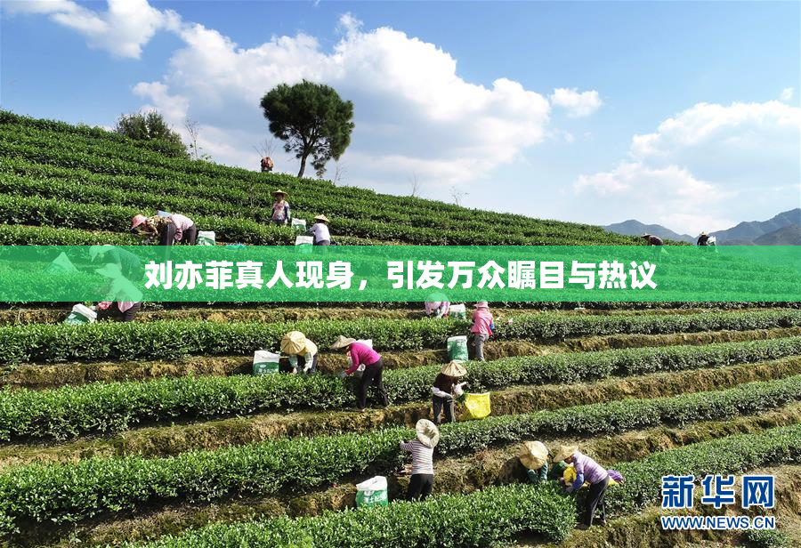 刘亦菲真人现身，引发万众瞩目与热议