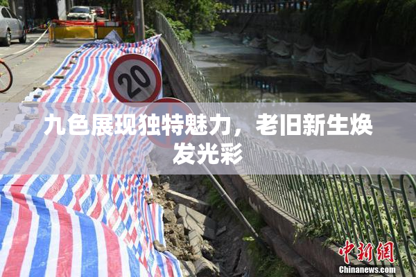 九色展现独特魅力，老旧新生焕发光彩