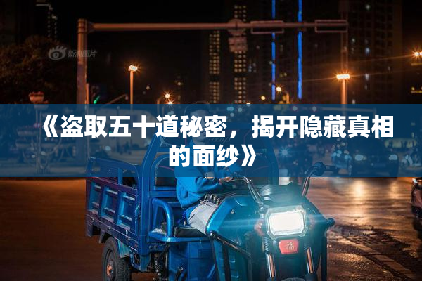 《盗取五十道秘密，揭开隐藏真相的面纱》