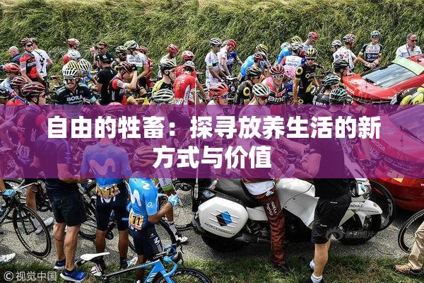 自由的牲畜：探寻放养生活的新方式与价值